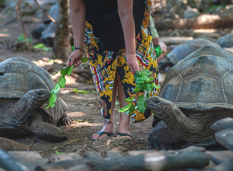 Prison Island Excursion
