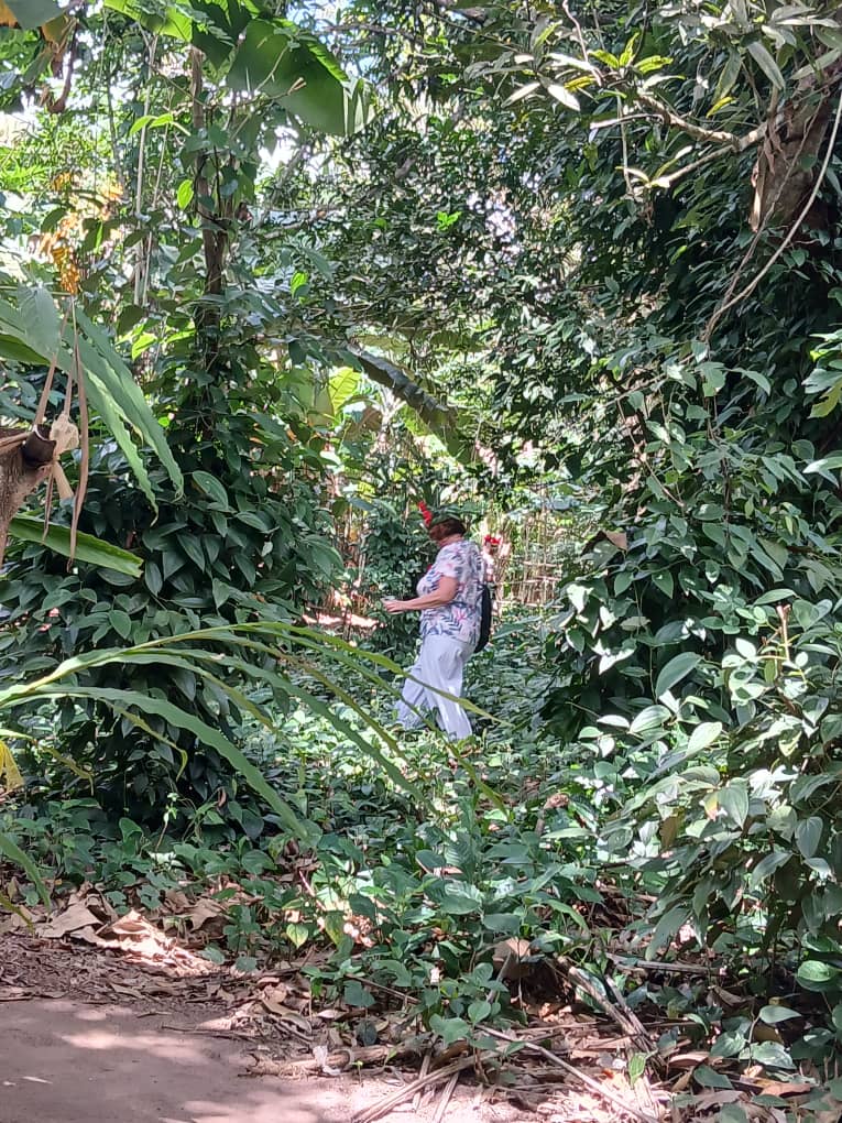 Spice Farm Excursion