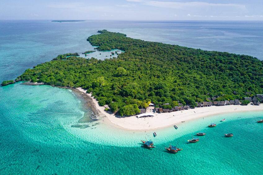 Safari Blue Excursion