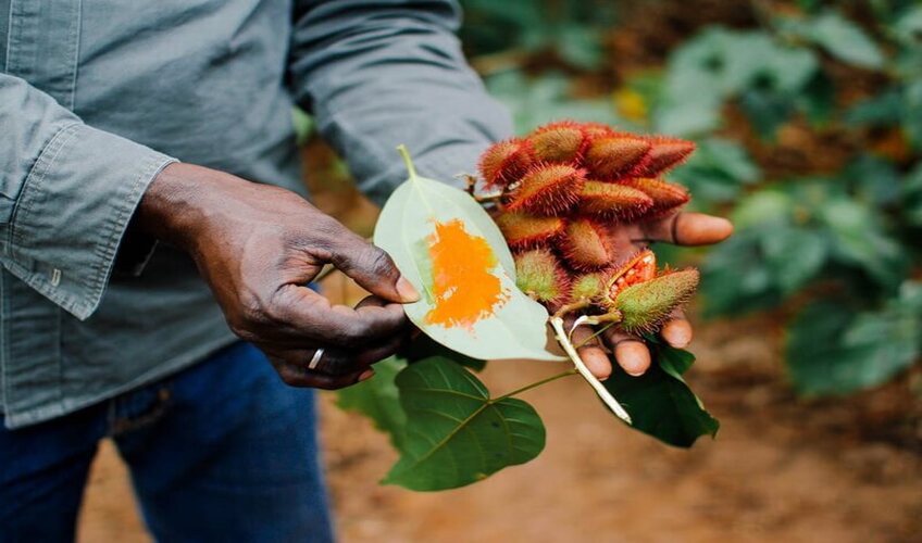 Spice Farm Excursion