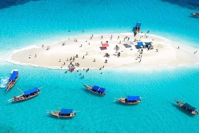 Safari Blue Excursion