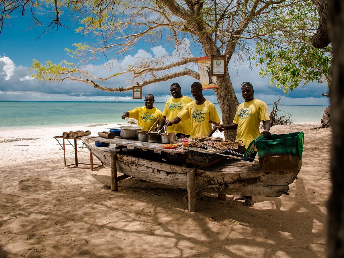 Safari Blue – Marine Safari on the Indian Ocean