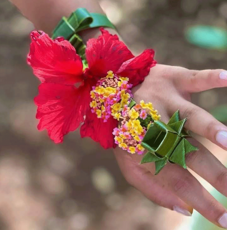 Kidichi Spice Farm, Stone Town Tour & Prison Island