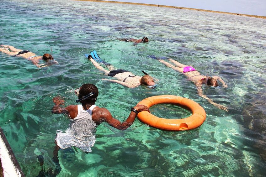 Safari Blue Excursion