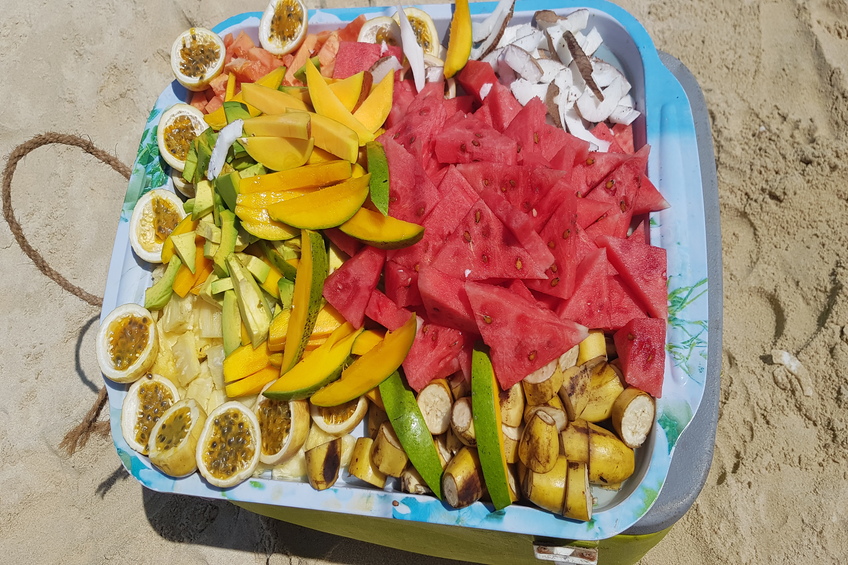 Safari Blue Excursion