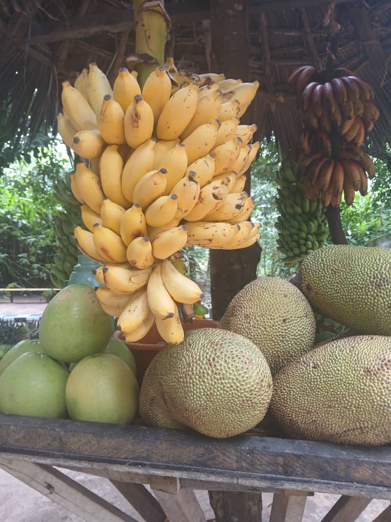 Spice Farm Excursion