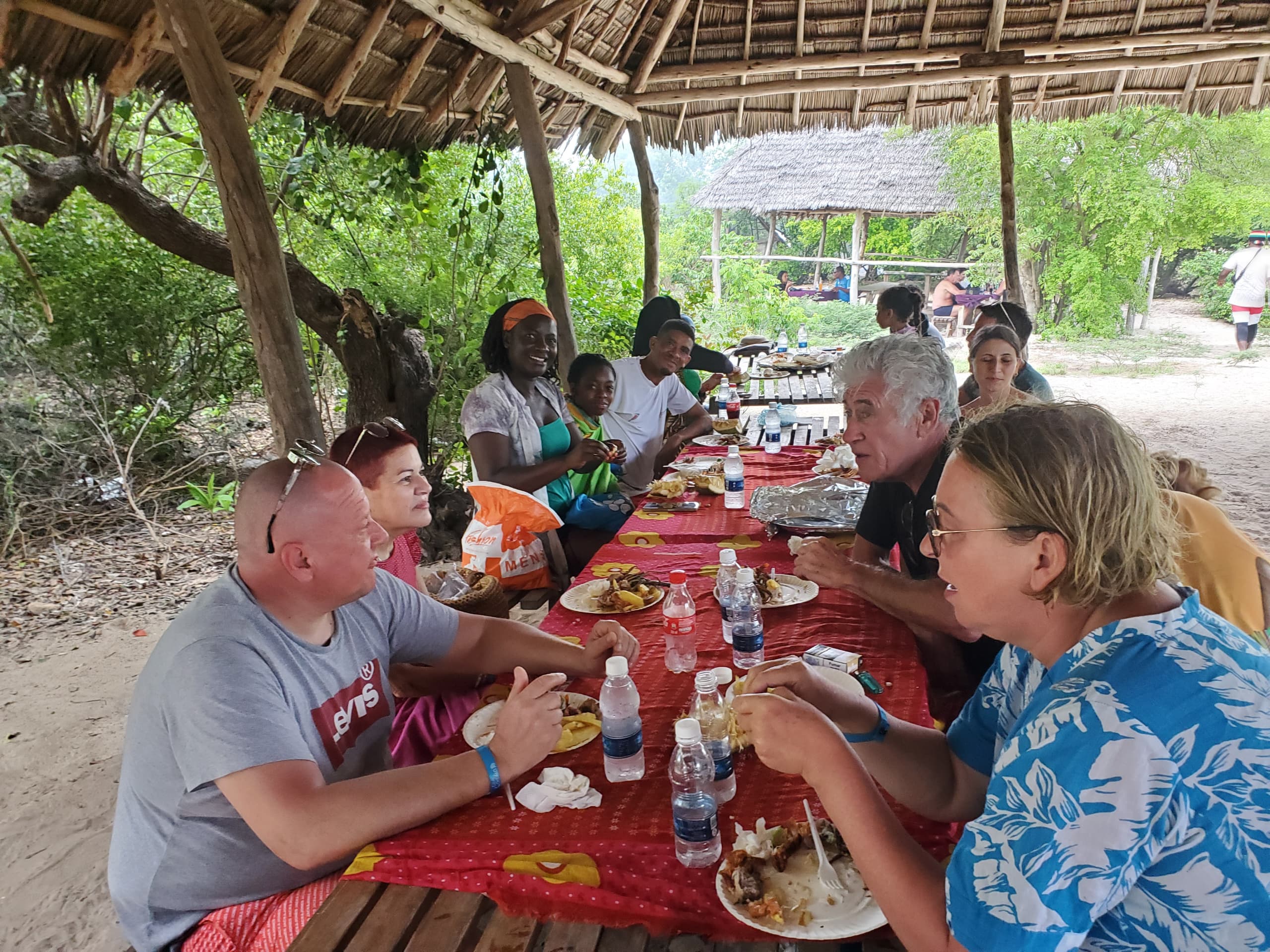 Safari Blue Excursion