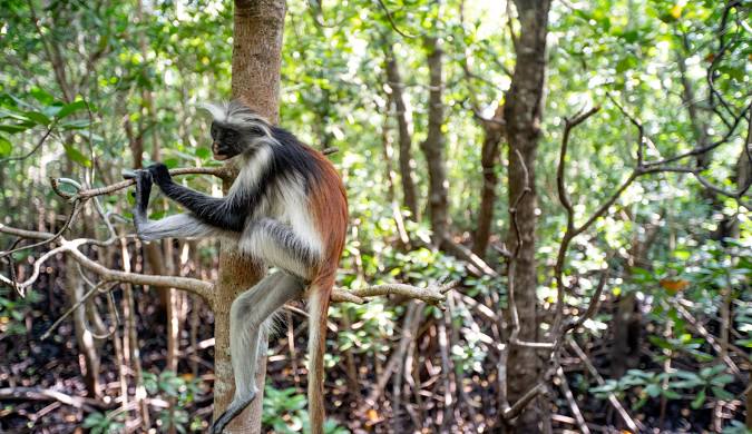 4 Days / 3 Nights Itinerary