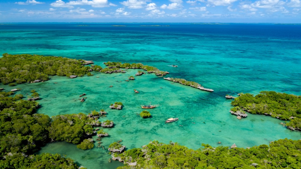 Safari Blue Excursion