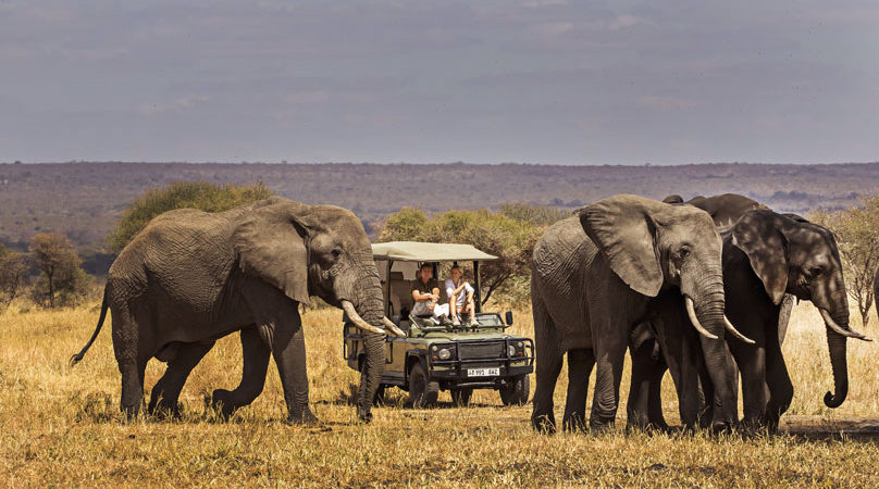 5 Days Tanzania Wild Life Safari Itinerary